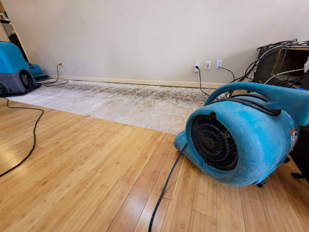 Reliable Basement Flood Cleanup contractor in Mount Clemens, MI by Hirex Water Damage
