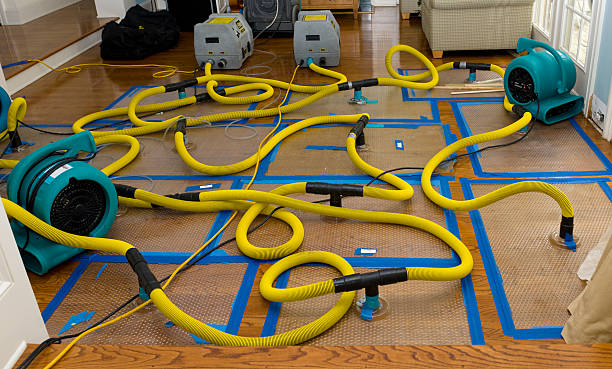 Professional Basement Flood Cleanup technician working in Mount Clemens, MI